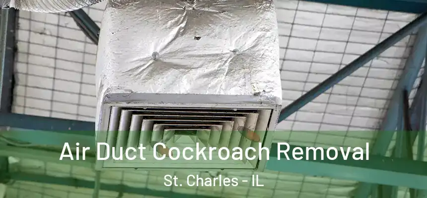 Air Duct Cockroach Removal St. Charles - IL