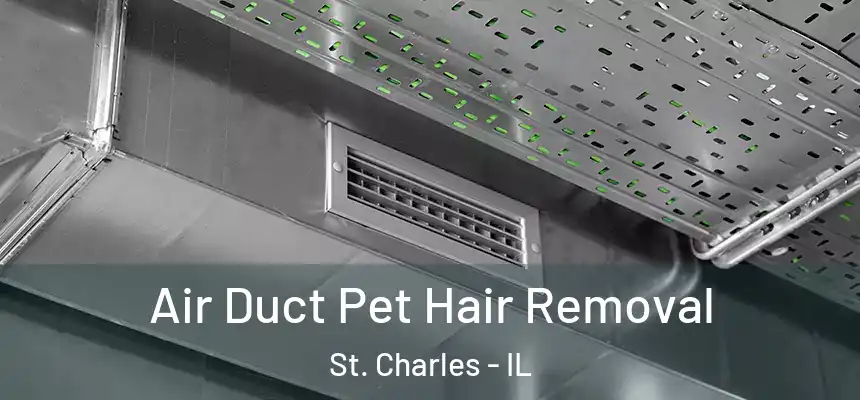  Air Duct Pet Hair Removal St. Charles - IL