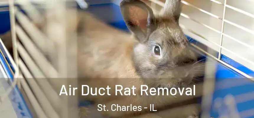 Air Duct Rat Removal St. Charles - IL