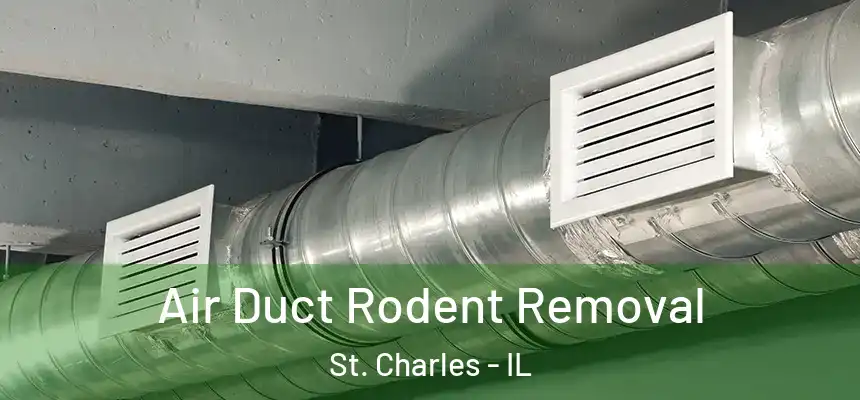  Air Duct Rodent Removal St. Charles - IL