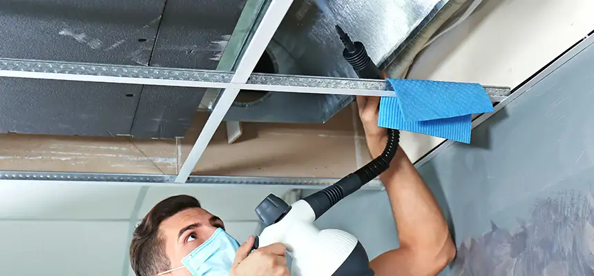 Our Air Duct Rodent Removal Services in St. Charles, IL