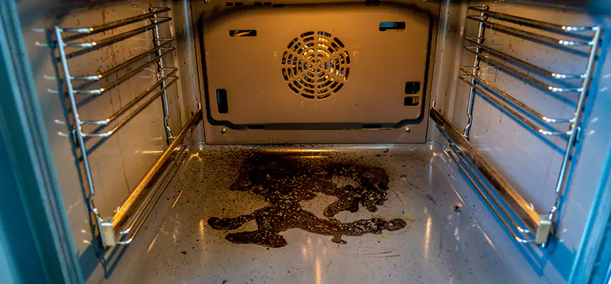 Our Dryer Vent Mold Cleaning Services in St. Charles, IL