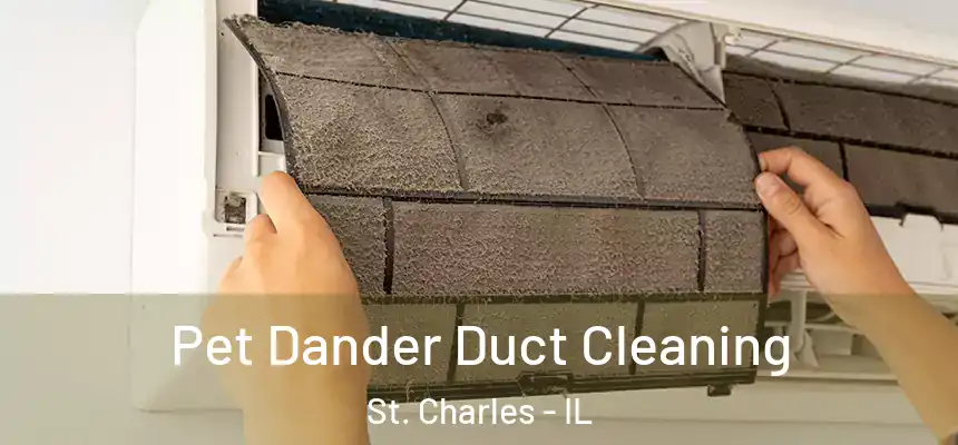 Pet Dander Duct Cleaning St. Charles - IL