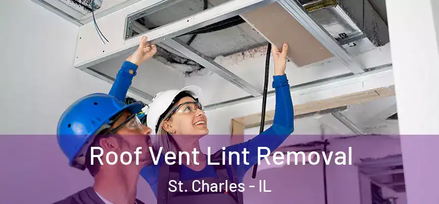 Roof Vent Lint Removal St. Charles - IL
