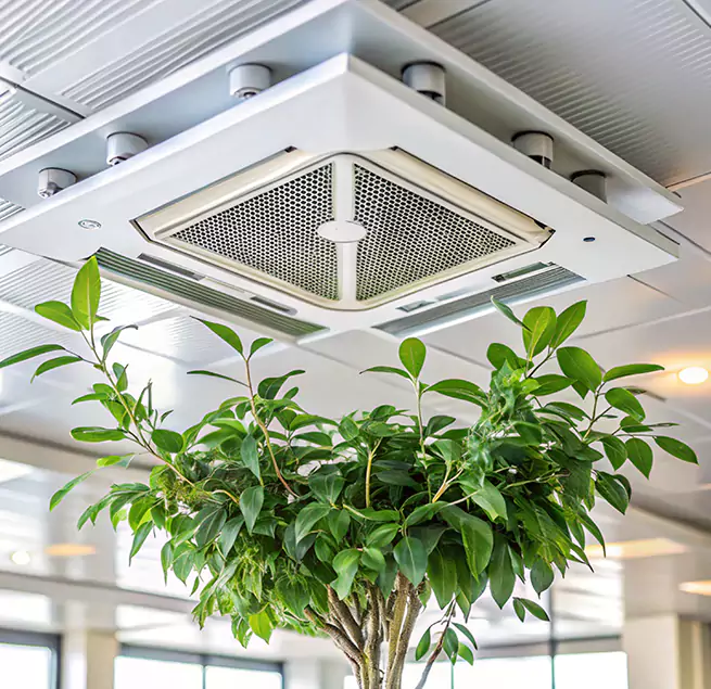 Why Homeowners & Businesses Trust Us in St. Charles, IL?